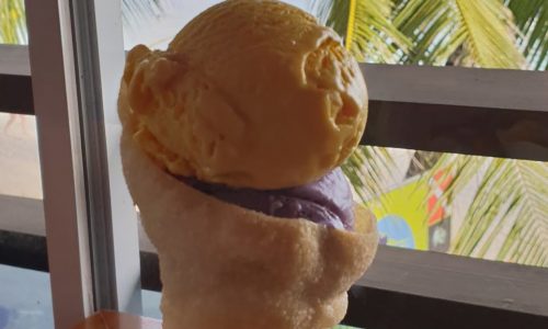 Bohol Bee Farm Ice Cream – A must try in Bohol