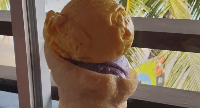 Bohol Bee Farm Ice Cream – A must try in Bohol